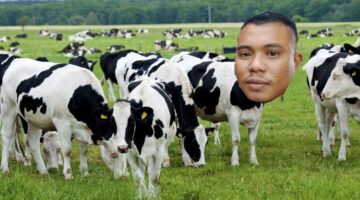 Modus Janji Untung Besar, Peternak di Banda Aceh Tertipu Puluhan Juta oleh Pegawai Barbershop